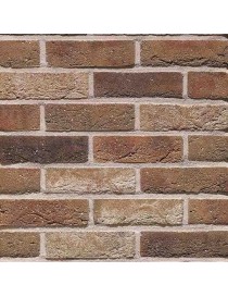 TERCA Dolfino plyta