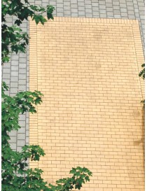 Klinkerinės trinkelės Märkisch, Penter
