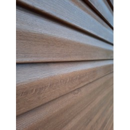 Vinilinė dailylentė PREMIUM siding, auksinis ąžuolas, 3.81 m x 0.203, Boryszew