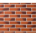 Cameleo (light angoba) 250x60x65 lygi  Marga/Raudona  klinkerio apdailos plyta